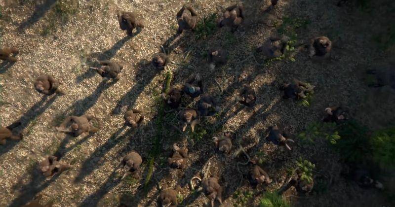 Youtube.com/Coldplay